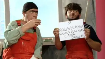 "Они эволюционируют": кот открыл дверцу микроволновки на глазах у шокированной хозяйки