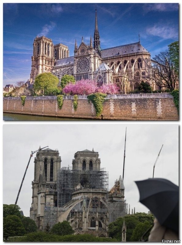 Notre-Dame de Paris