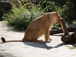 На общую тему&nbsp;