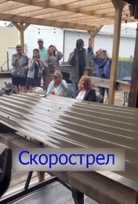 Ничего необычного, просто в одном из баров Нью-Йорка устроили забег вибраторов
