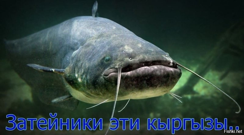 Продолжаем барражировать соцсети