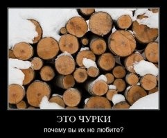 "Это не круто!": дагестанец годами выдавал себя за дублёра артиста из "Игры престолов"