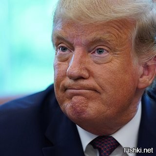 А кто знал, что изначально "Толик" - это кличка котов рыжего окраса.
- Я не знал

- Я тоже