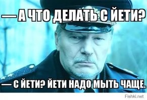 Снежного человека заметили в лесу Колорадо