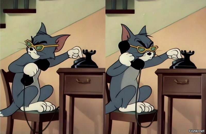 Страшнее кошки звери нет