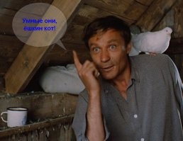 Попугаи научились пользоваться питьевыми фонтанчиками