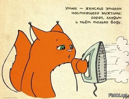 Солянка от 06.06.2025