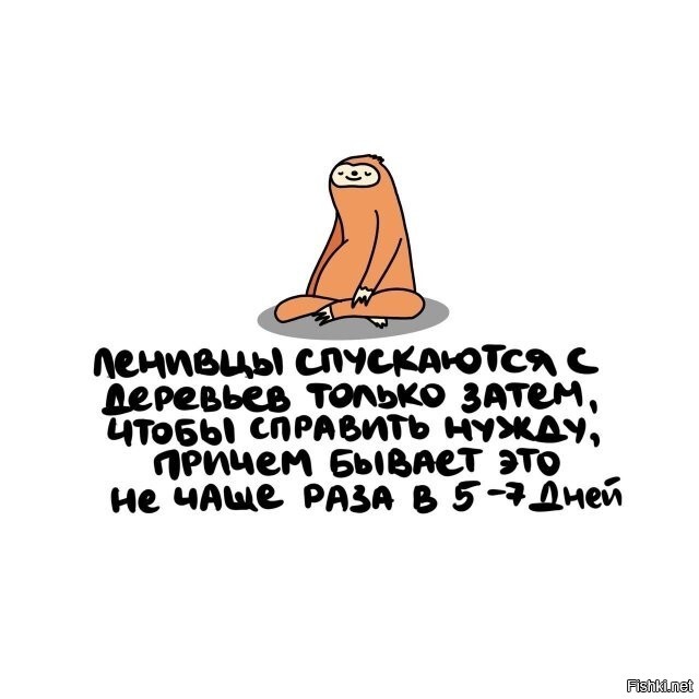 У нас в карауле был перец, который, наоборот, забрался на яблоню, чтобы посрать
