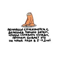 У нас в карауле был перец, который, наоборот, забрался на яблоню, чтобы посрать