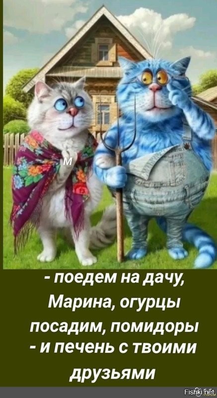 С добрым утром