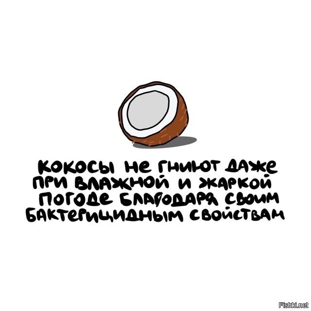 Зато прокисают на ура...