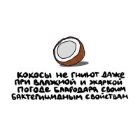 Зато прокисают на ура...