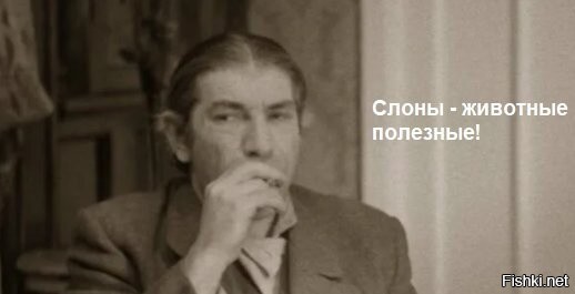 Солянка от 06.06.2025