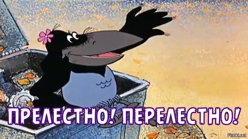 Попугаи научились пользоваться питьевыми фонтанчиками