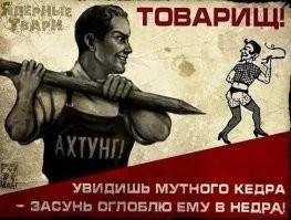 Всё вразнобой&nbsp;