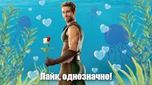 Японец приручил каракатицу