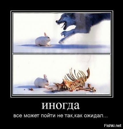 Скрины из соцсетей