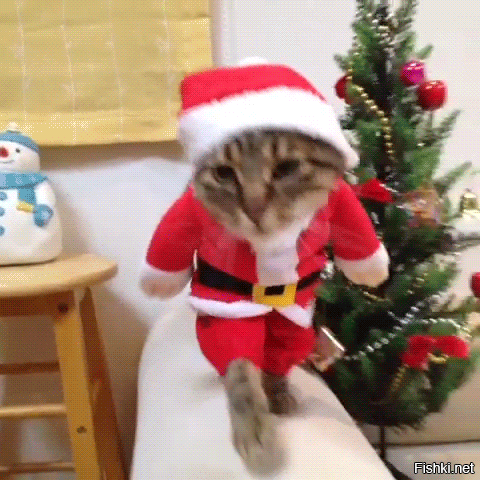 На общую тему&nbsp;