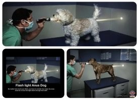 &nbsp;Намешалось&nbsp;