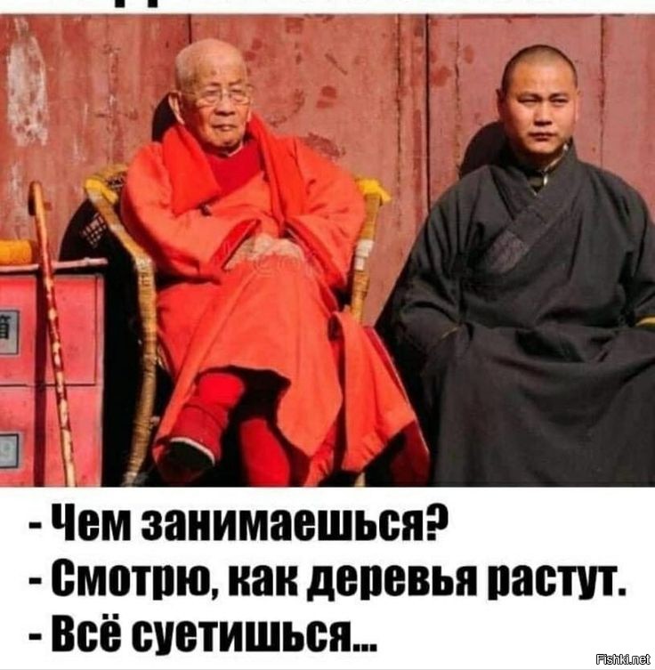 Скрины из соцсетей 