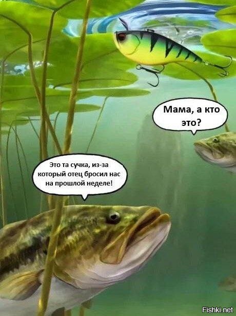 Скрины из соцсетей 