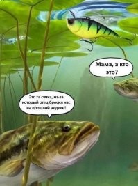 Скрины из соцсетей 