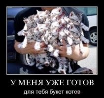 Турецкий телеканал  в прямом эфире раздавал котят
