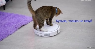 ФотоВсячина