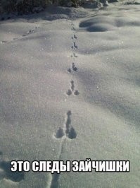 20 атмосферных фотографий из загородной жизни, от которой захочется немедленно переехать в село