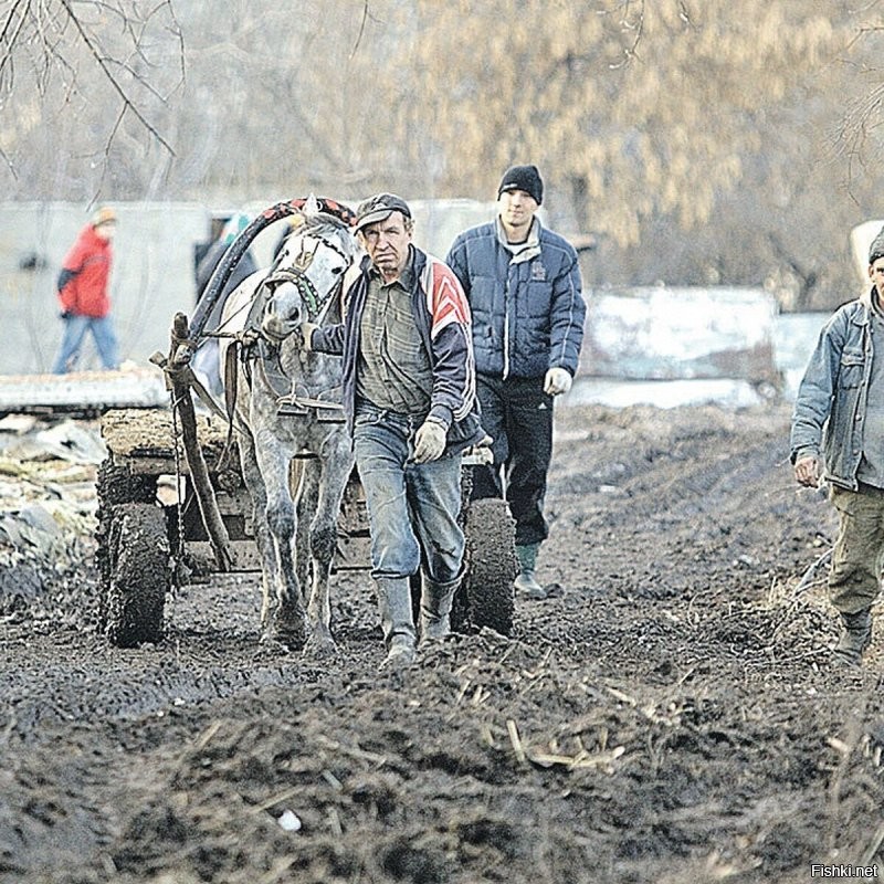 Так я вроде про еду и написал. В отдаленные села уже и автолавки не ездят. и очередей нет. Ешьте,что вырастили ,хлеб сами пеките,картошку заготовляйте, дрова рубите,рыбу ловите. Зато без очередей..