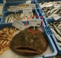 Исследовательское судно Chikyu. Путешествие к центру Земли