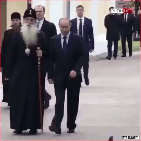 Попугай сорвал запуск первой австралийской космической ракеты