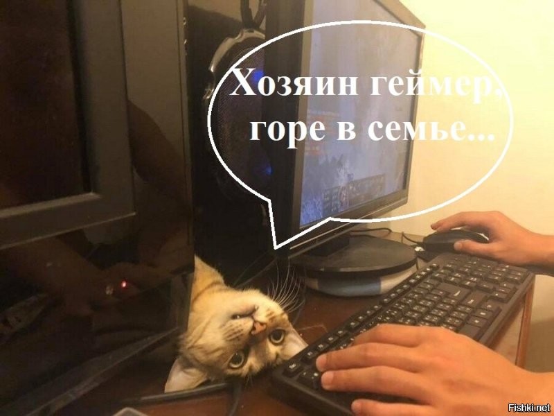 Солянка от 07.06.2025