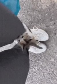 Ну всё, теперь ты мой!