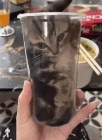 Напиток Котейный.