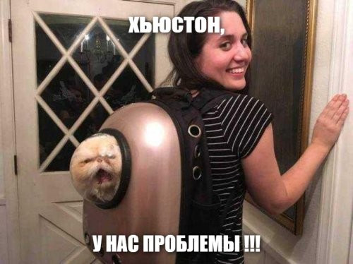 Солянка от 07.06.2025
