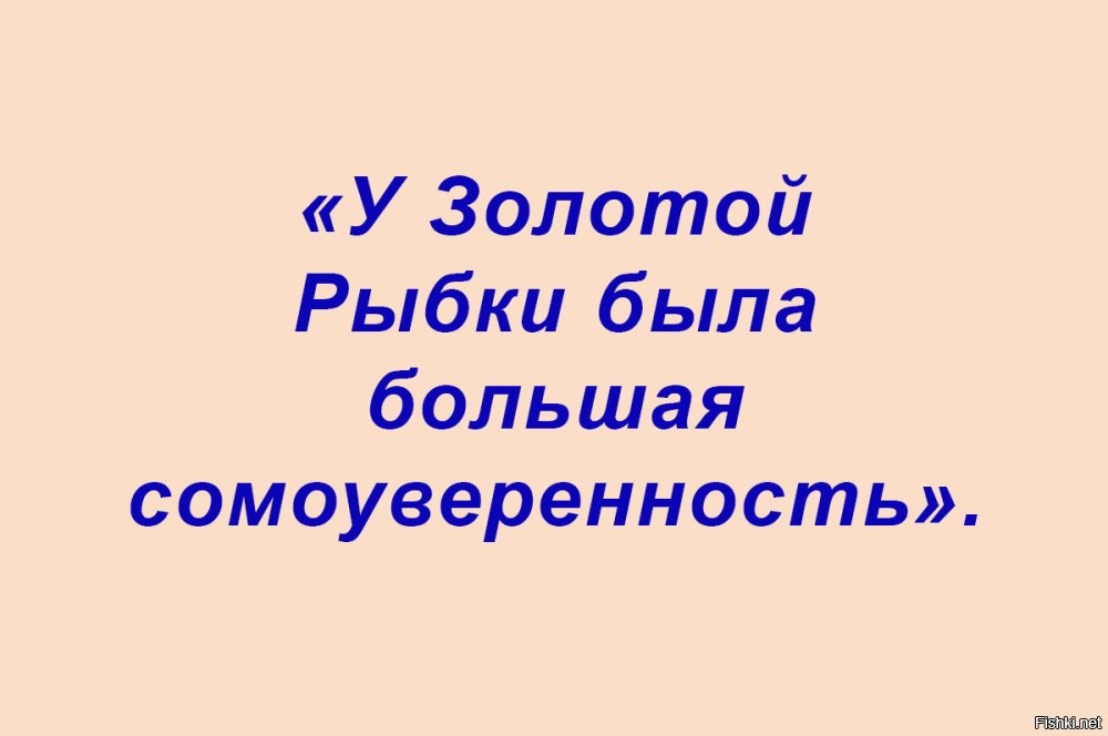 Солянка от 08.06.2025