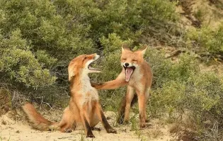 Сборная России сыграла с командой Нигерии вничью и прервала серию из восьми побед