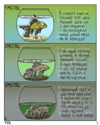 Утром устроился — вечером уволился: пользователи попытались понять, что стоит за мгновенным уходом сотрудника