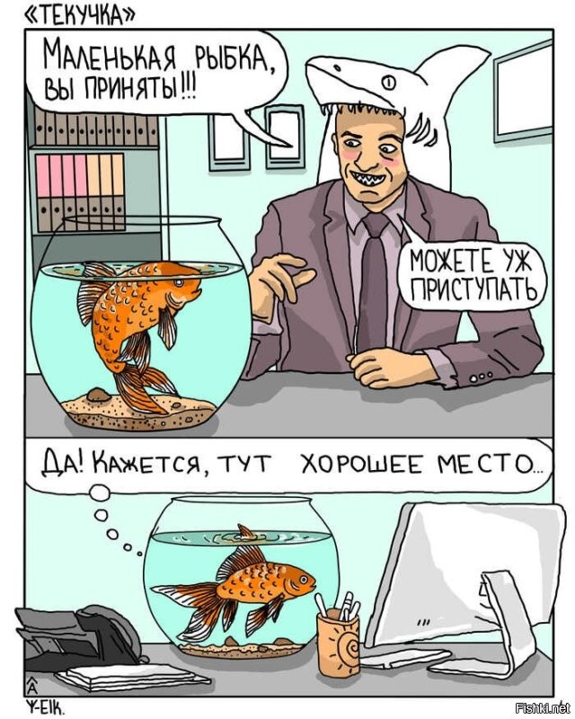 Утром устроился — вечером уволился: пользователи попытались понять, что стоит за мгновенным уходом сотрудника
