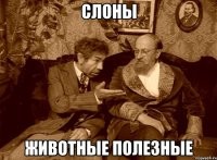 В гватемальском зоопарке слон спас тонущую антилопу