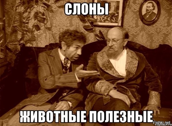 В гватемальском зоопарке слон спас тонущую антилопу