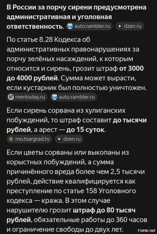 ФотоВсячина