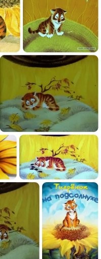 Лежбище котиков