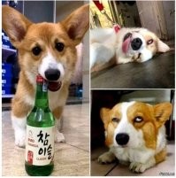 Это сейчас. А если он потом пристрастится?