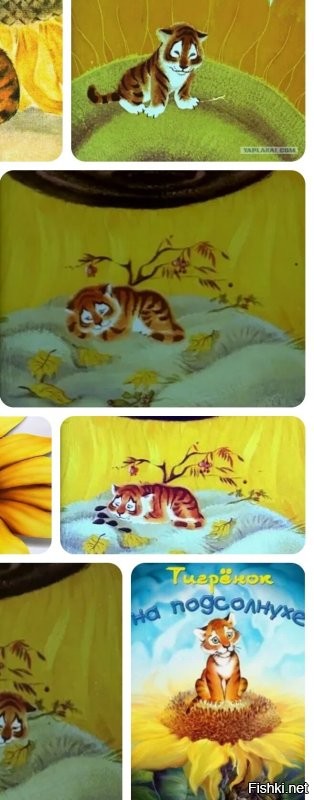 Лежбище котиков