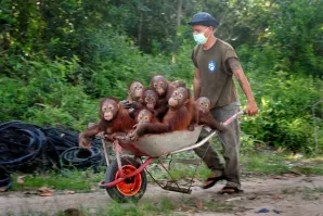 ДЕПОРТАЦИЯ? ВЪЕЗД?