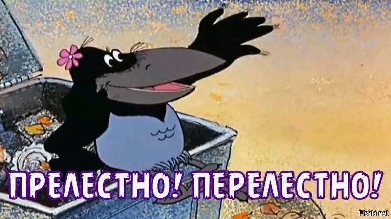 Солянка от 09.06.2025