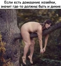 Демотиваторы для настроения: «Не можешь противостоять?» 