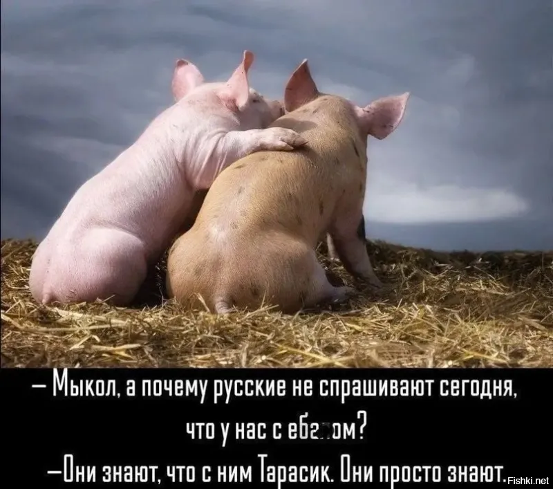 Без повара каша не заварится. Ни одна цветная, а по сути голубая, революция не произошла бы без пиндосни. Им хаос нужен, жизненно важен. Иначе пи*здец. Они банкроты. Уже давно. Сейчас трампампам с последователями пытается как-то это исправить, но им не дадут. Лос-Анжелес - первая ласточка. У Дони один выход - отстреливать ниггеров, иначе всему хана. Дерьмократы, ради места у кормушки, готовы пиндостан под откос пустить.
 Так что хохолики будут жрать говно, как и жрали. Чем ещё свиньям заняться?